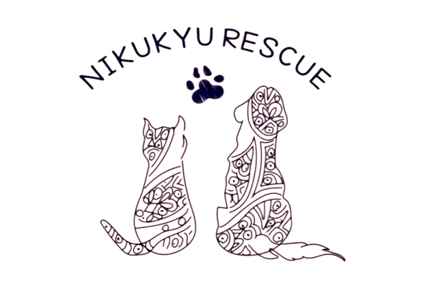 株式会社CRECHES